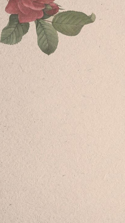 Morbi enim nunc faucibus